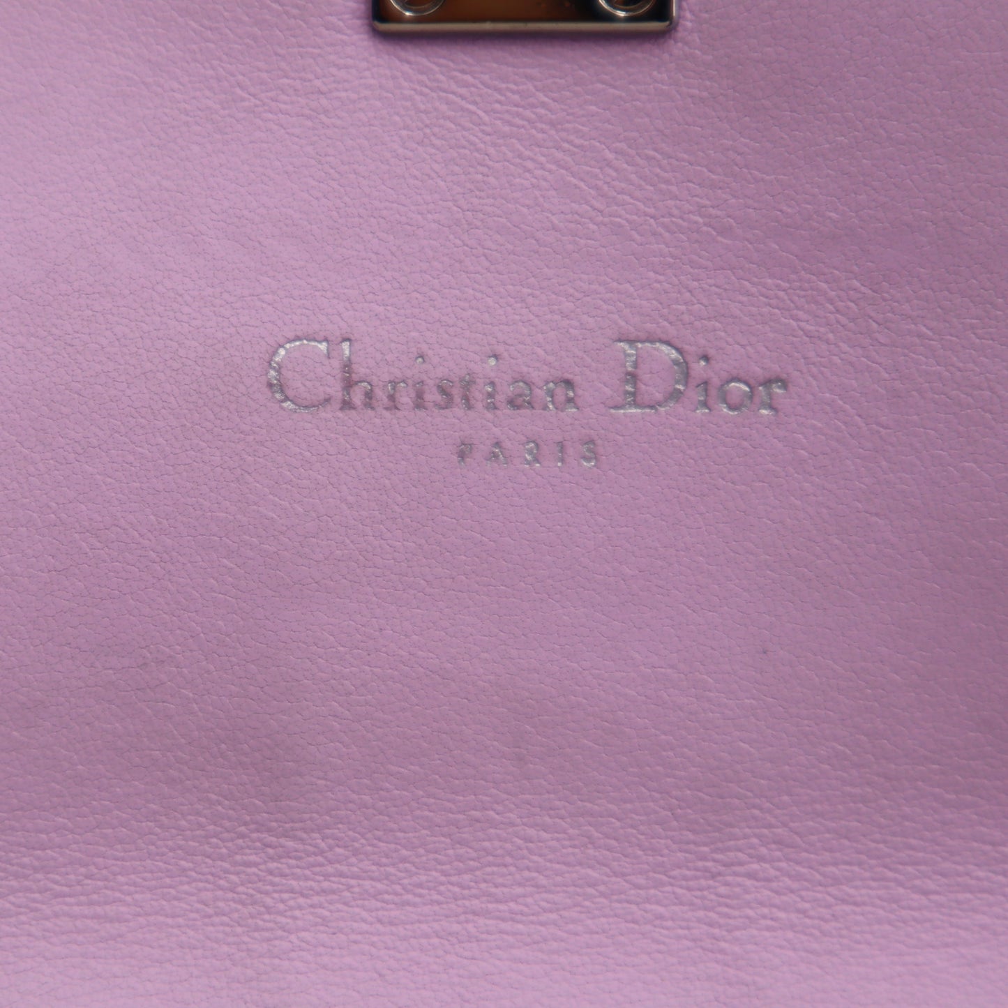 Dior Calfskin Tri-Color Wallet on Chain
