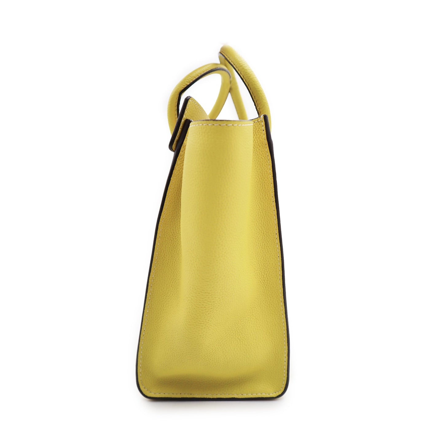Celine Smooth Calfskin Luggage Tote Bag